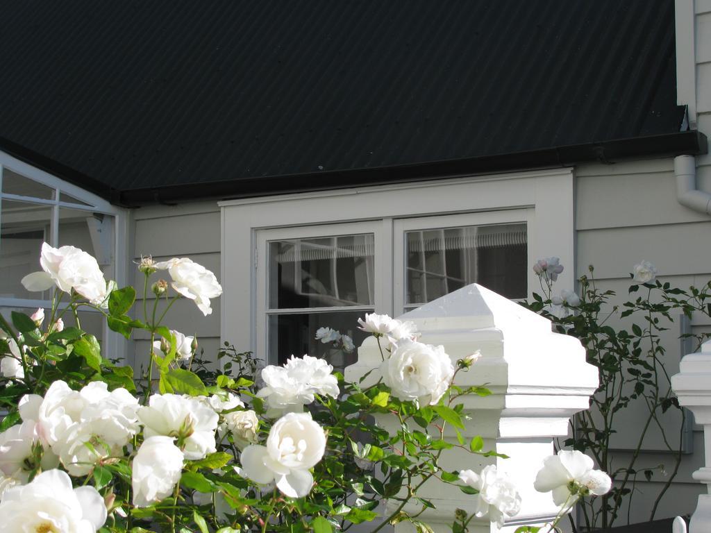 Historic Colenso Cottage Napier Dış mekan fotoğraf